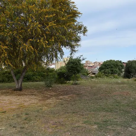 Punta Di Mola فندق مبيت وإفطار مارينا دي راغوزا